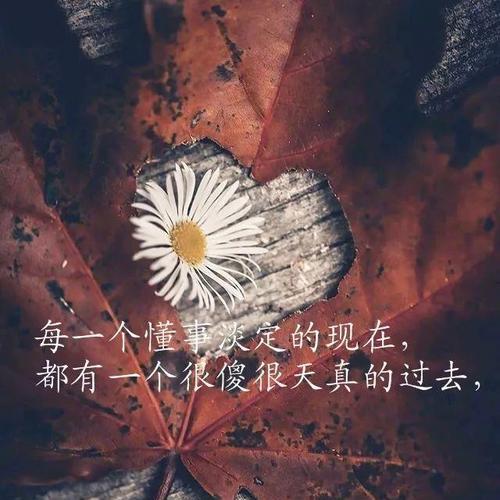 分手的心痛-交往时间比追求时间短的苦恼（分手的辛酸）