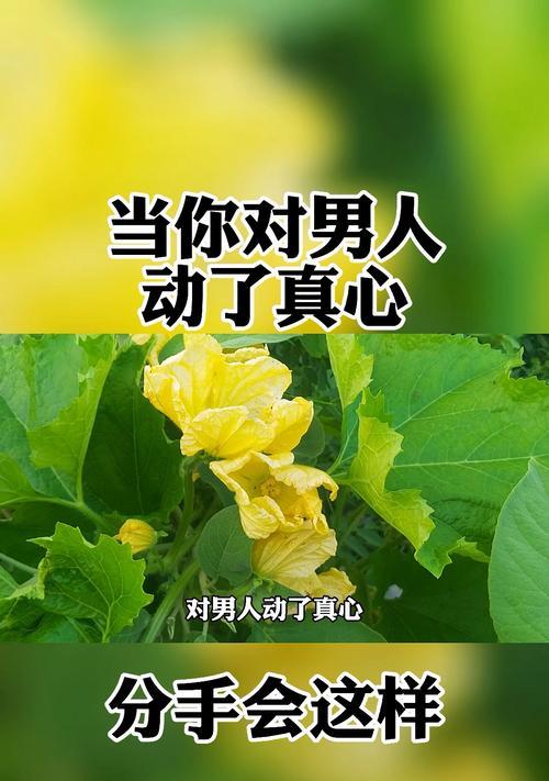 男朋友说分手，还能挽回吗（解析男友分手的原因和挽救方法）